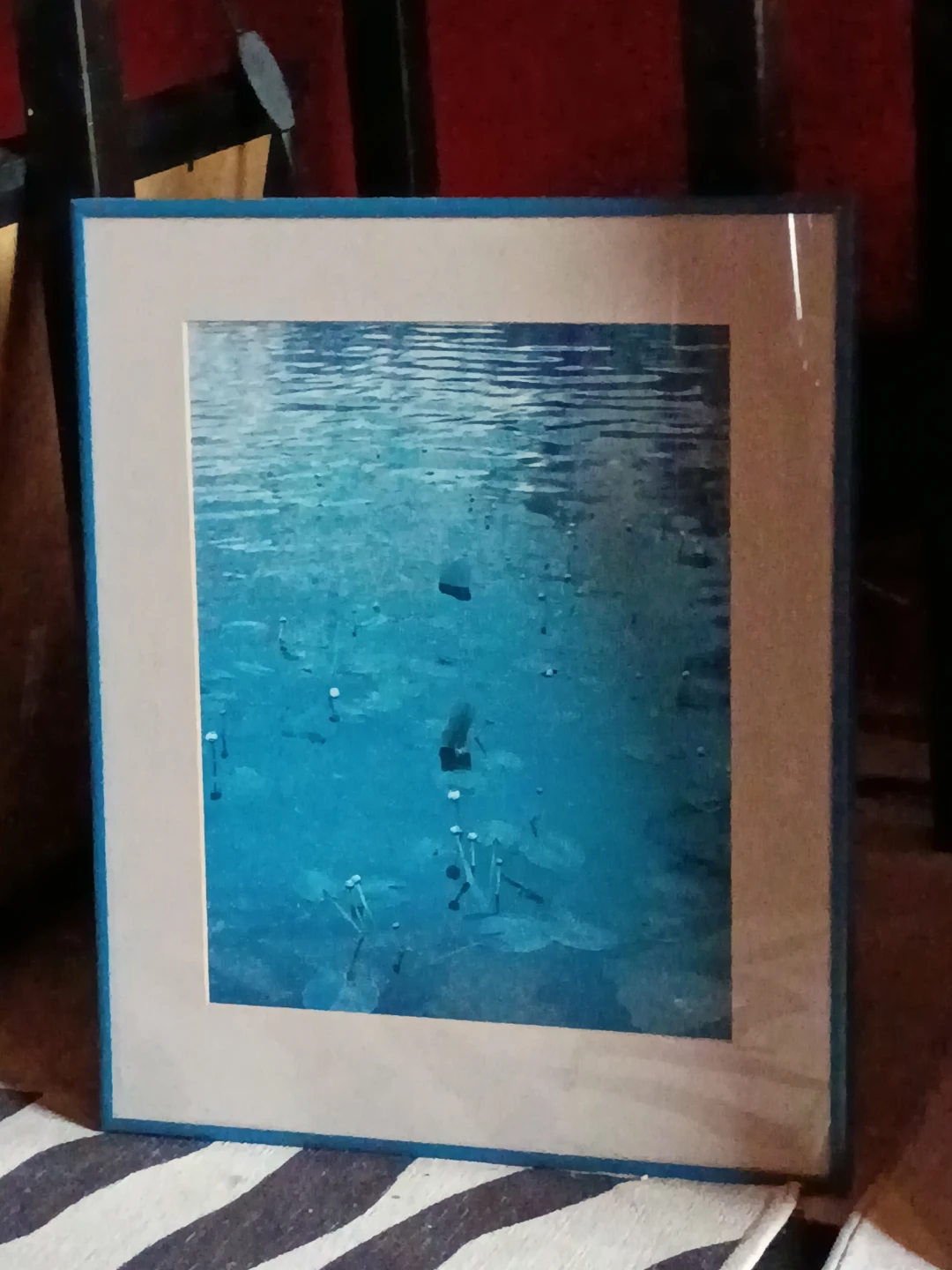 Framed Water Lily Pond Art Print