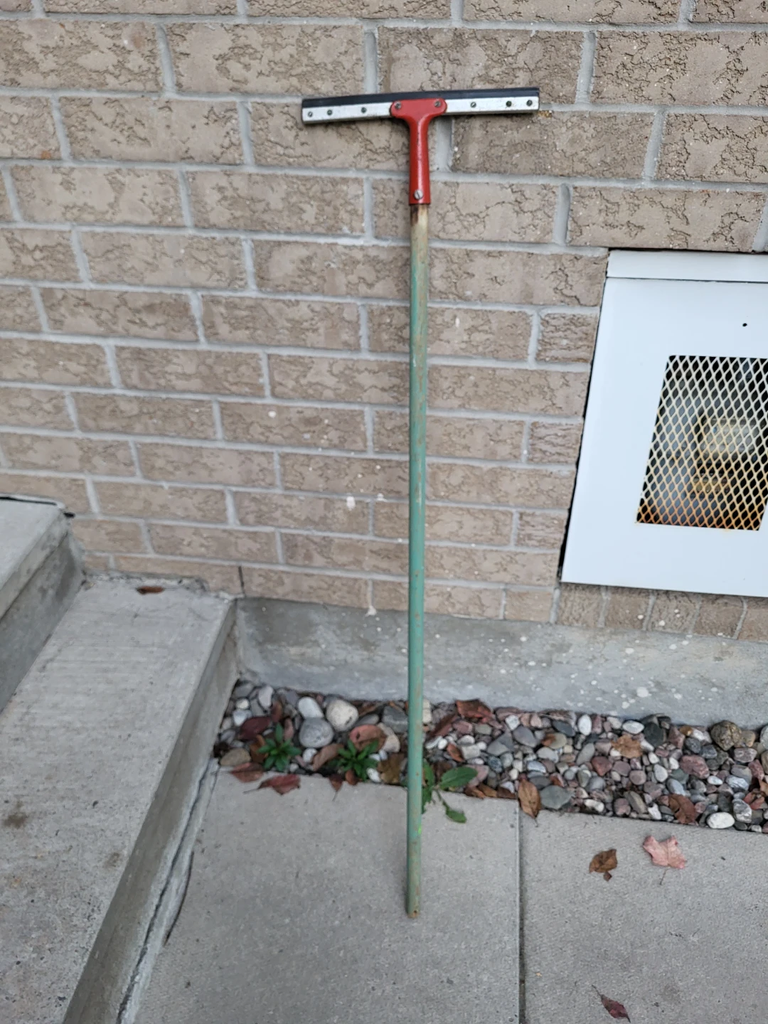 Long Handled Squeegee