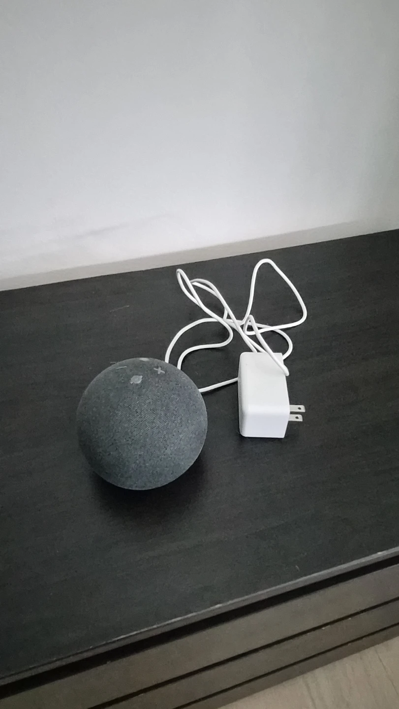 Amazon Echo Dot (4th Gen) Charcoal Smart Speaker