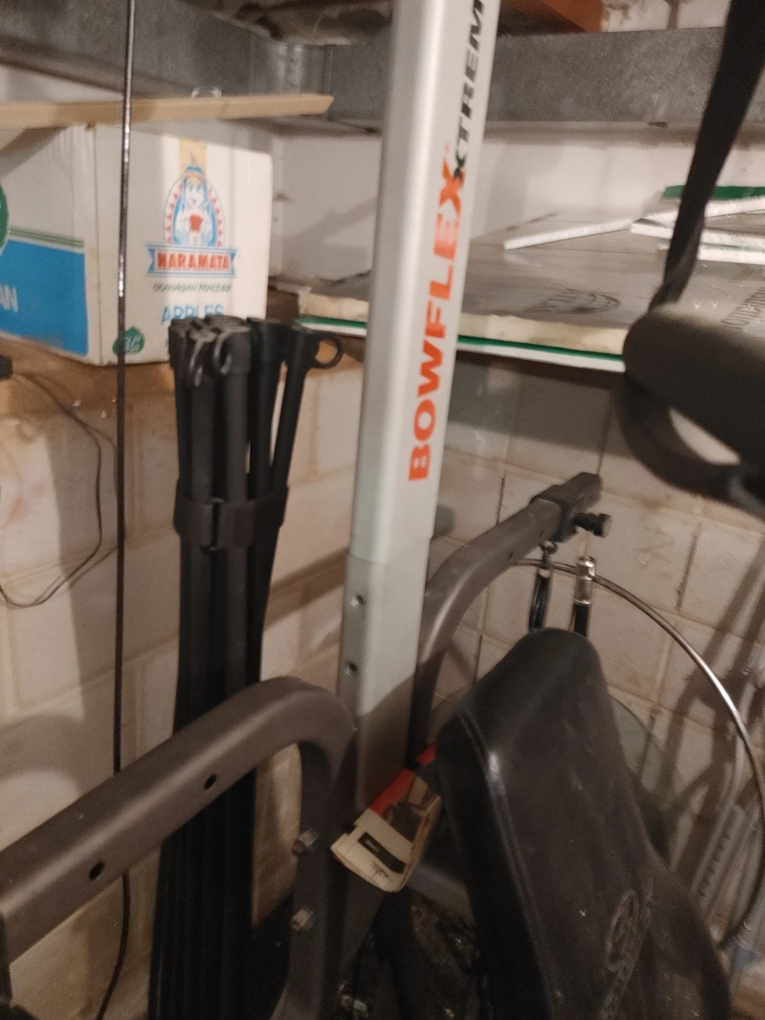 Bowflex Xtreme 2 Home Gym - photo 3