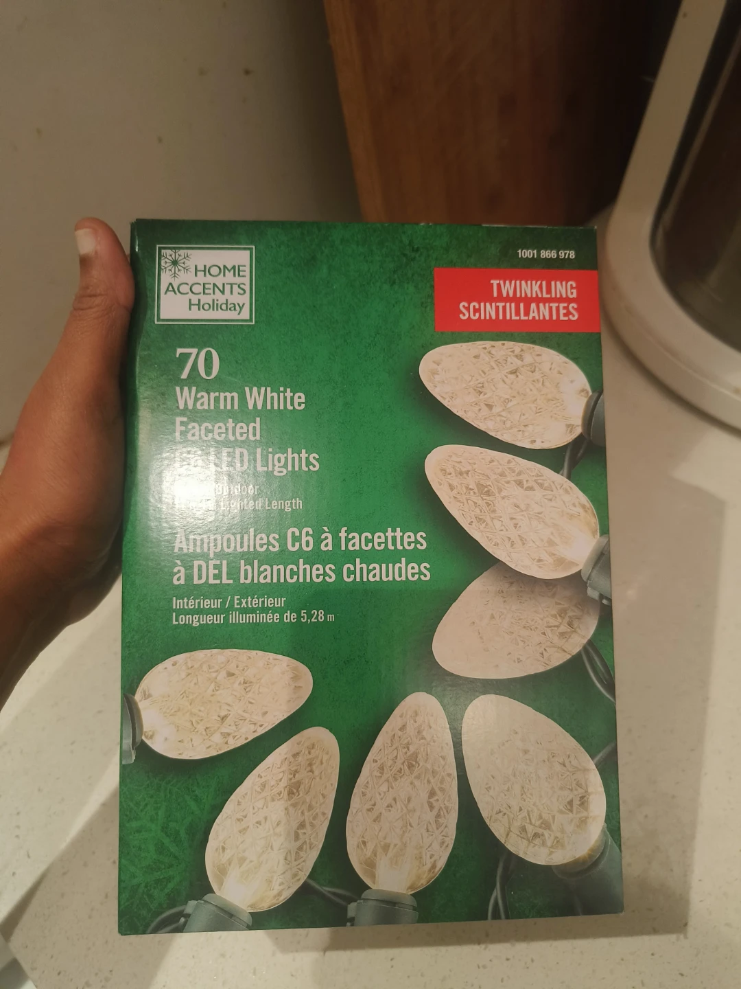 New in Box -Home Accents Holiday 70 Warm White  LED Lights