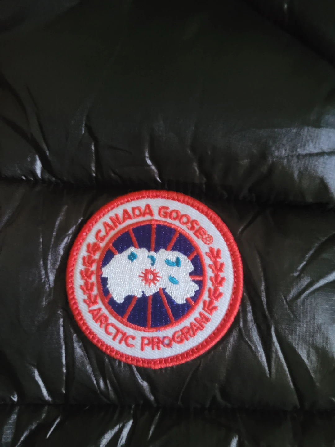 Canada Goose Down Vest - photo 4