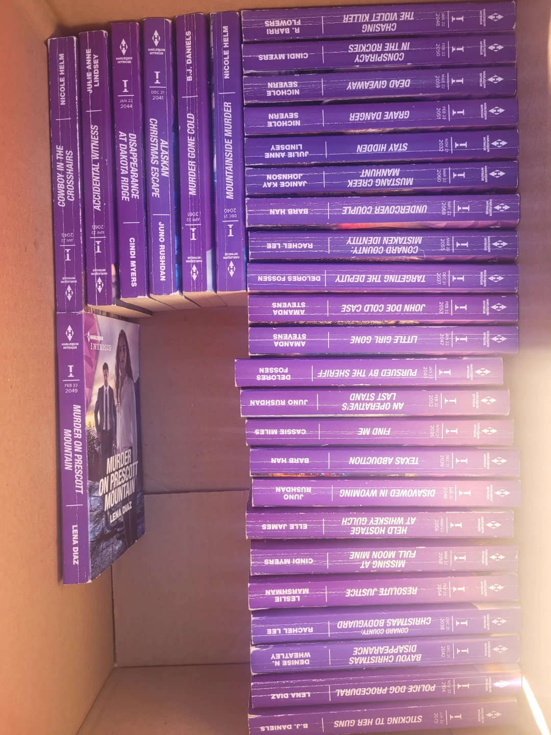 Mystery book lot