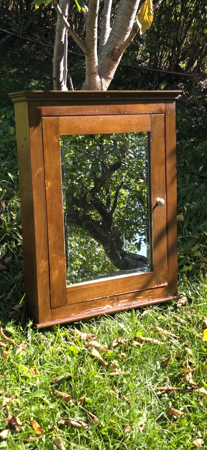 Wooden Medicine Cabinet with Mirror