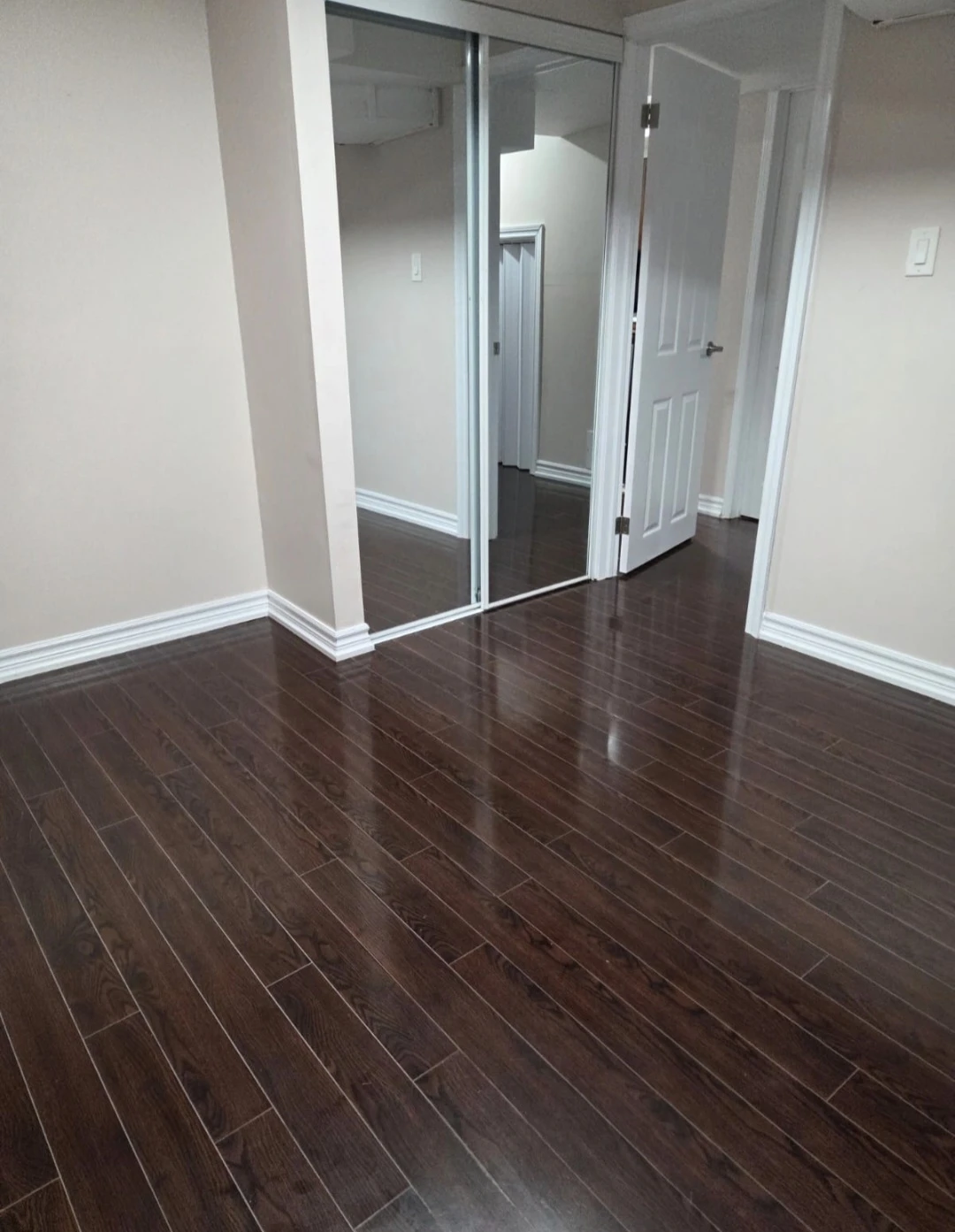 Spacious & Newly renovated 2 bedroom basement apartment - photo 4