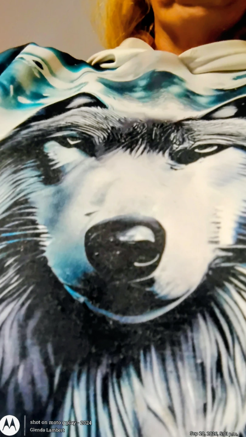 Wolf Print Hoodie