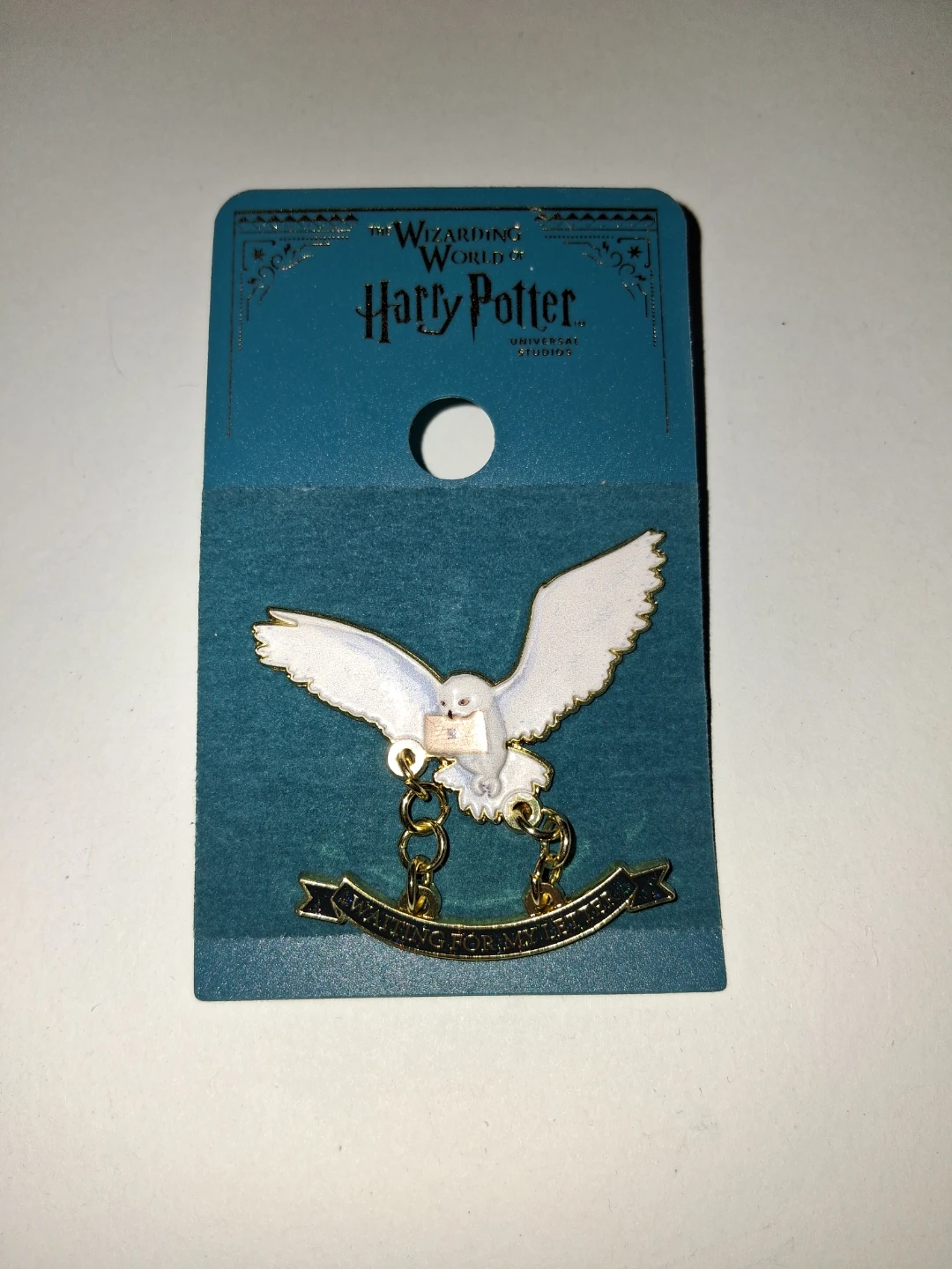 Harry Potter Hedwig Waiting For My Letter Pin