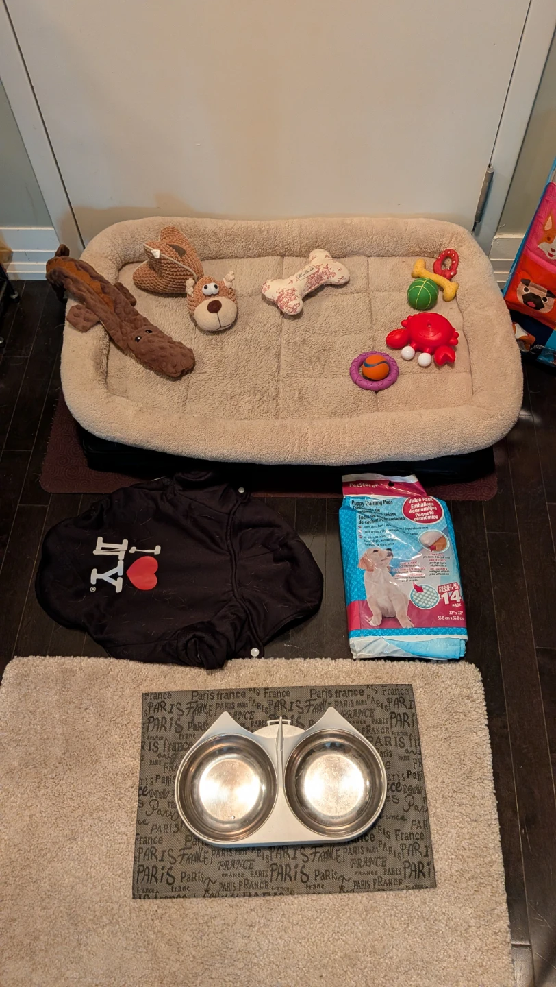 Dog Package:  Bed, Toys, Pads, Bowls and Jacket