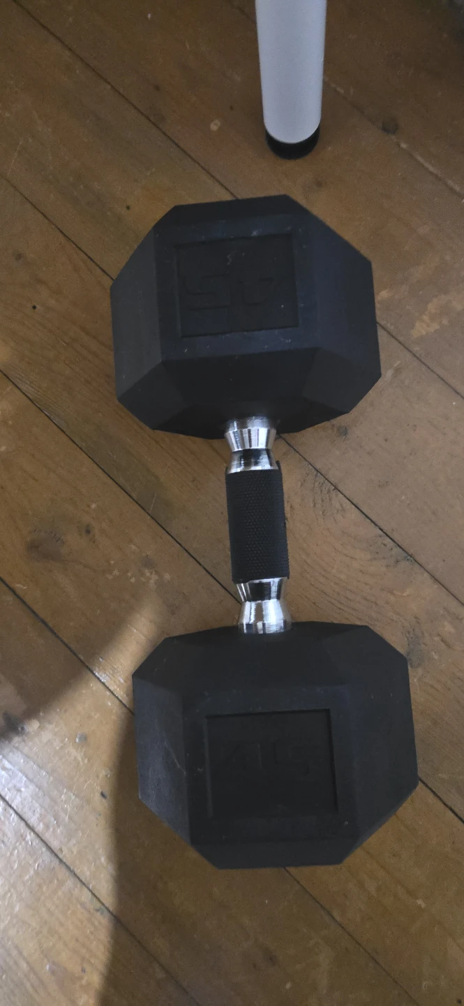 45lb Rubber Hex Dumbbell pair