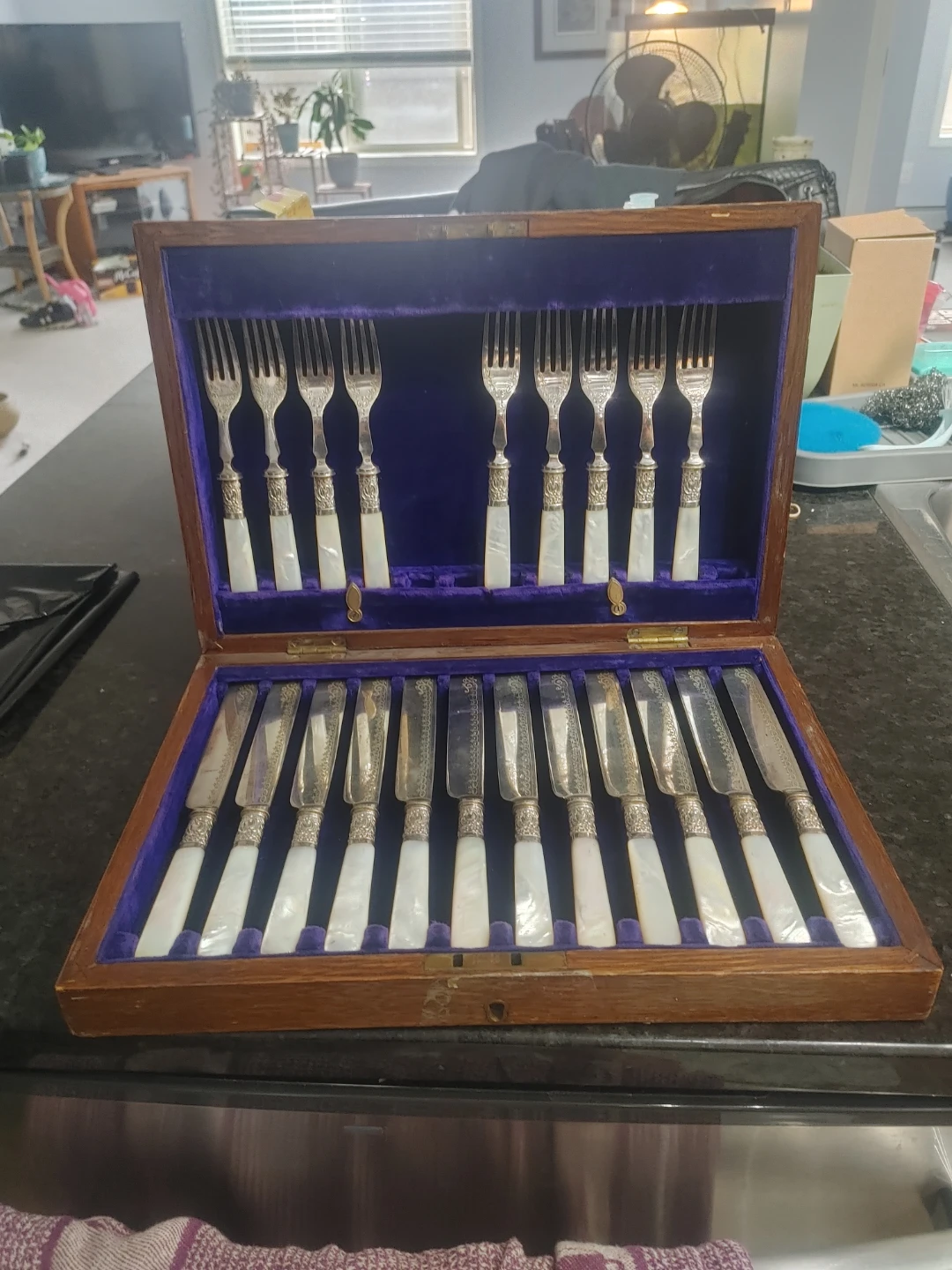 Vintage Mother of Pearl Cutlery Set - photo 2