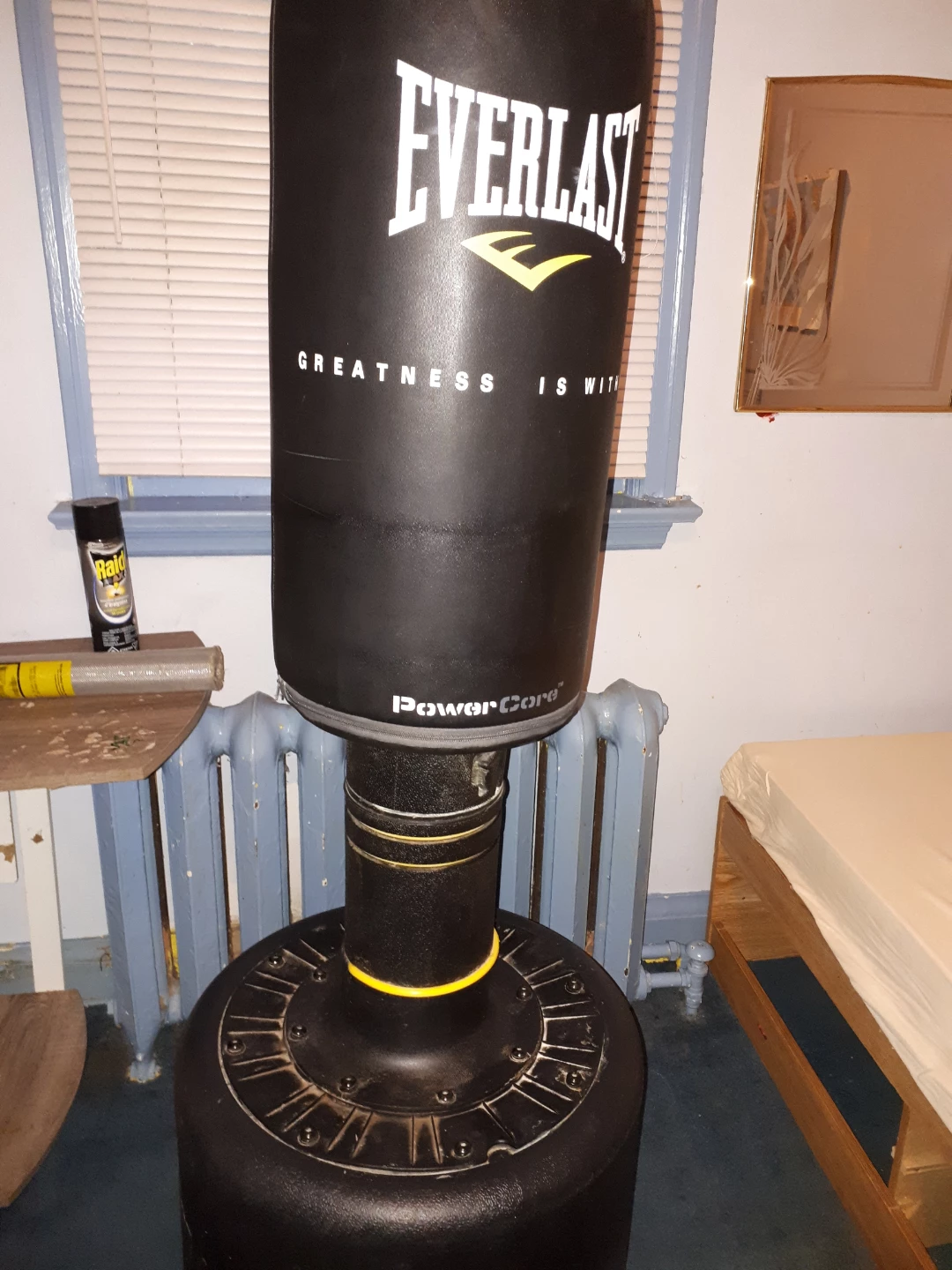 Everlast PowerCore Freestanding Punching Bag
