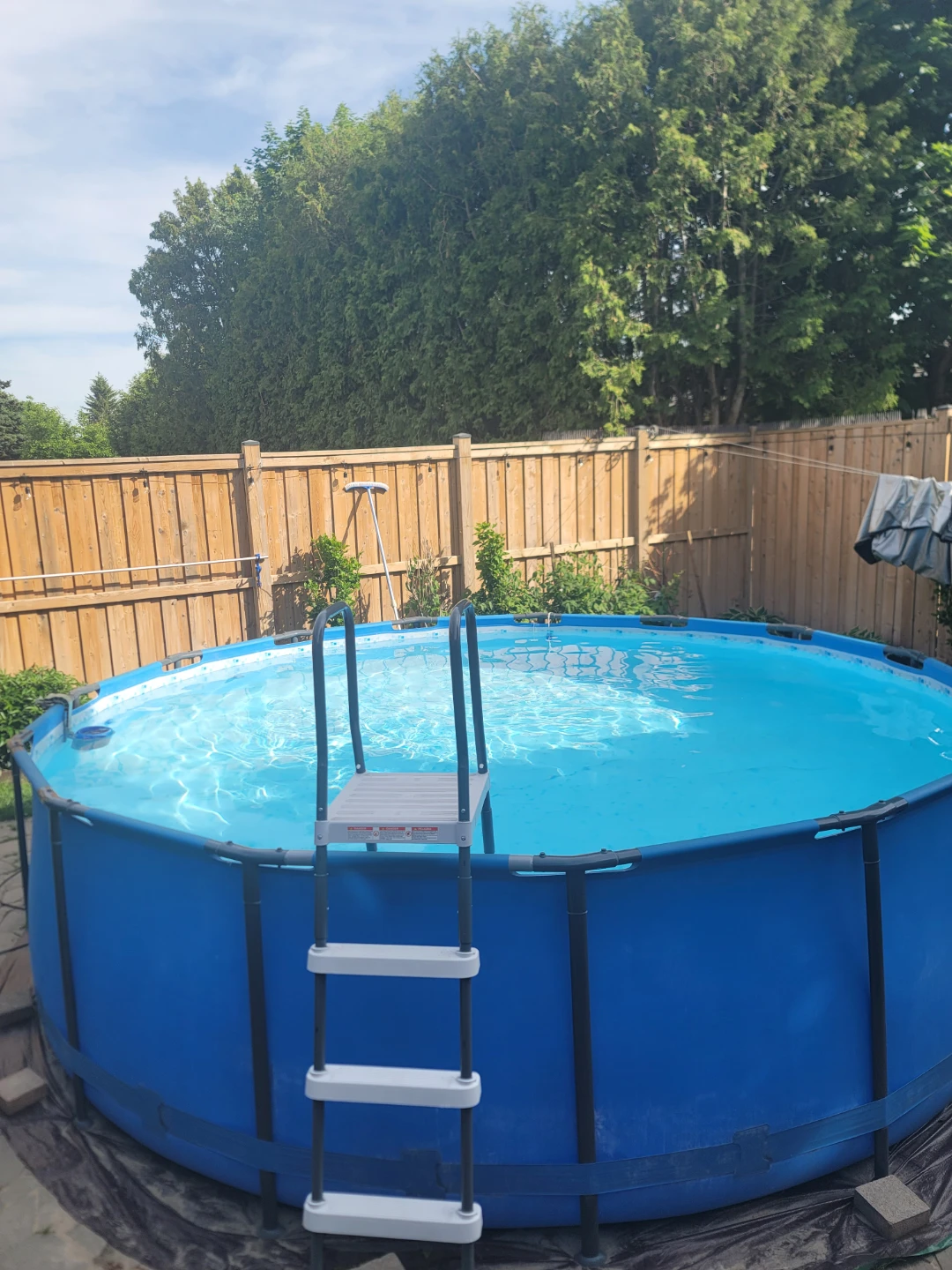 Pro Max Round Steel Frame Swimming Pool, 15-ft x 48-in