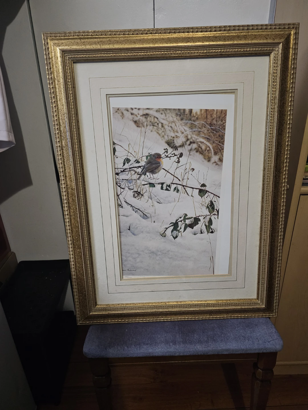 Steven Townsend limited edition robin print