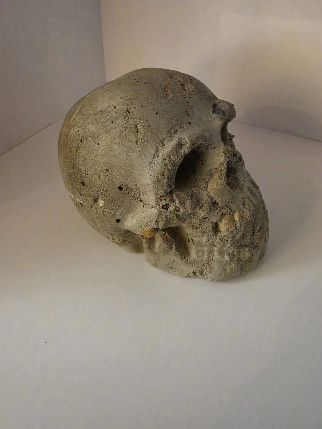 Decorative Concrete Skull Sculpture - photo 3