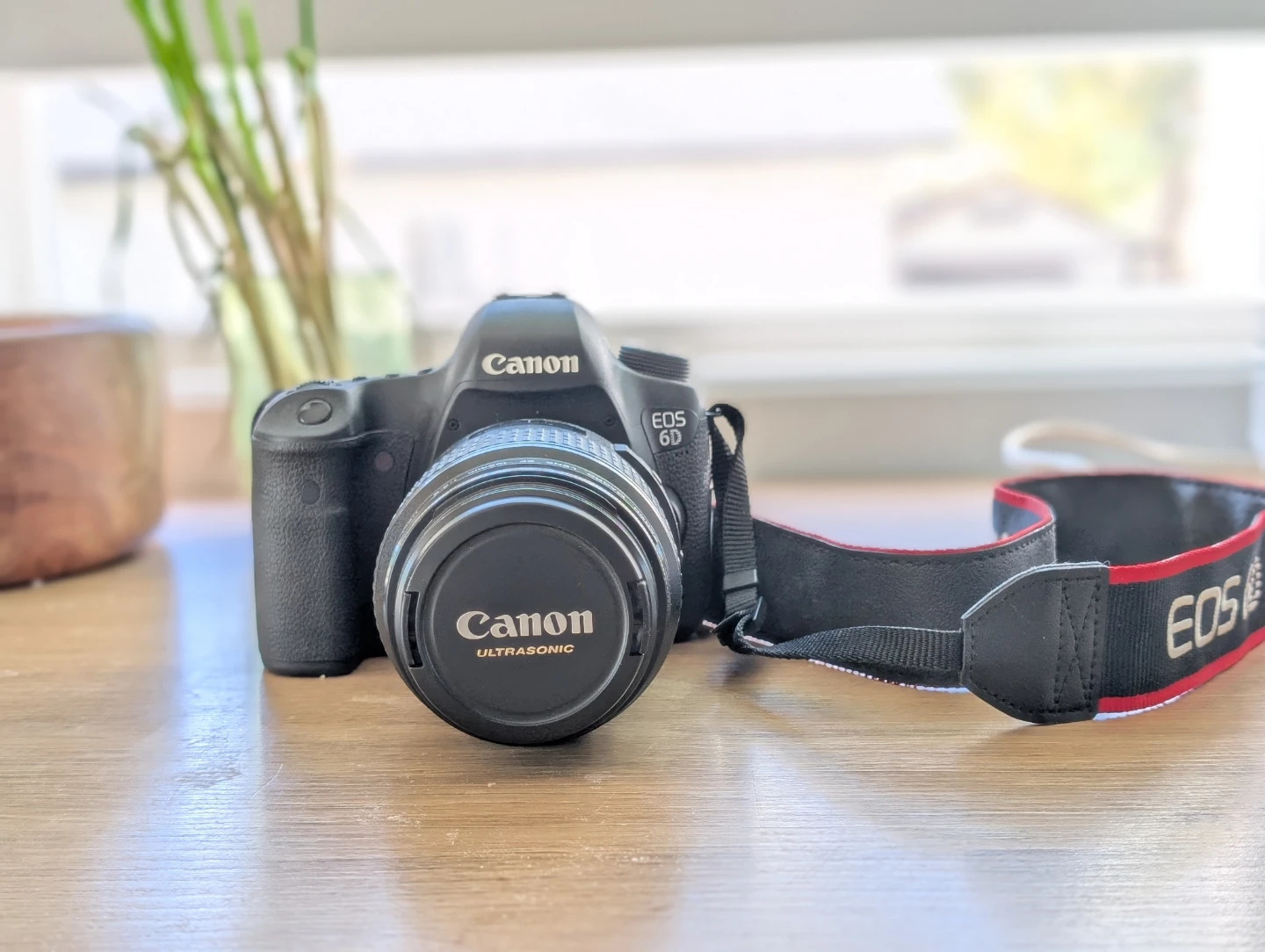 Canon EOS 6D DSLR Camera with Canon Ultrasonic 100mm Macro lens