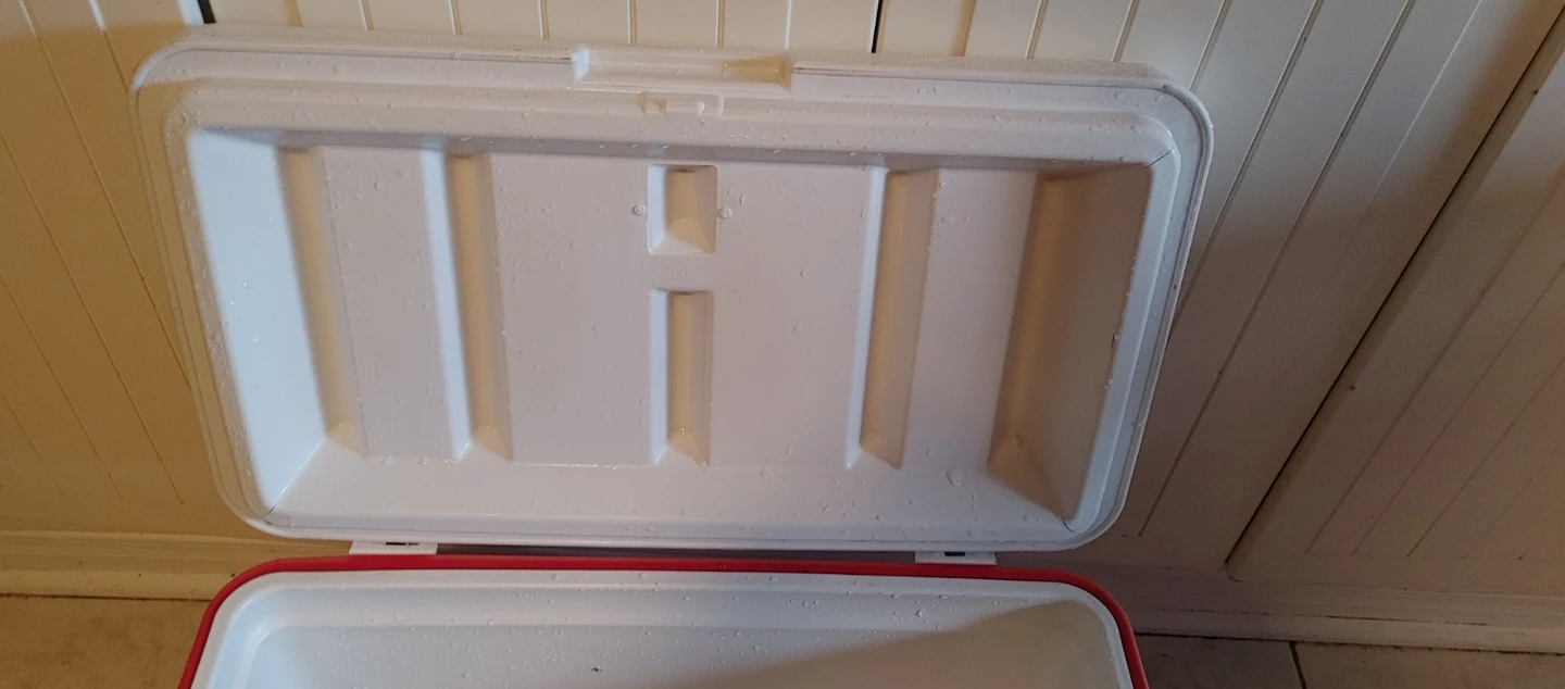 Coleman Cooler - photo 4