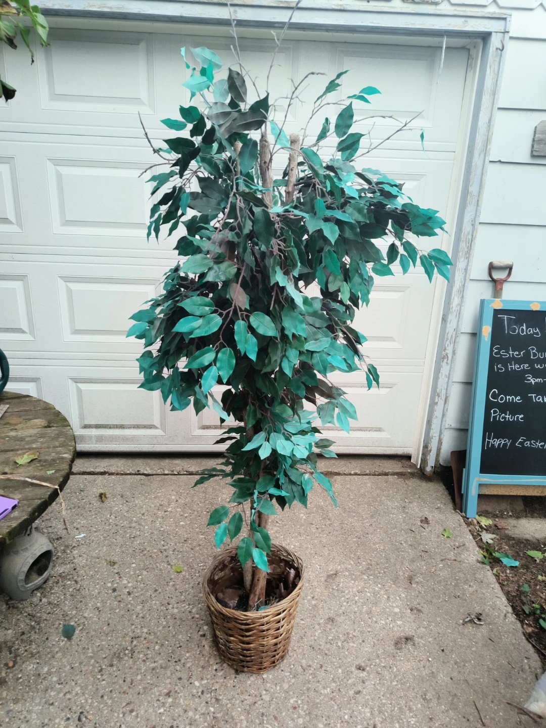 Artificial Plant about 76 inches tall base is heavy solid