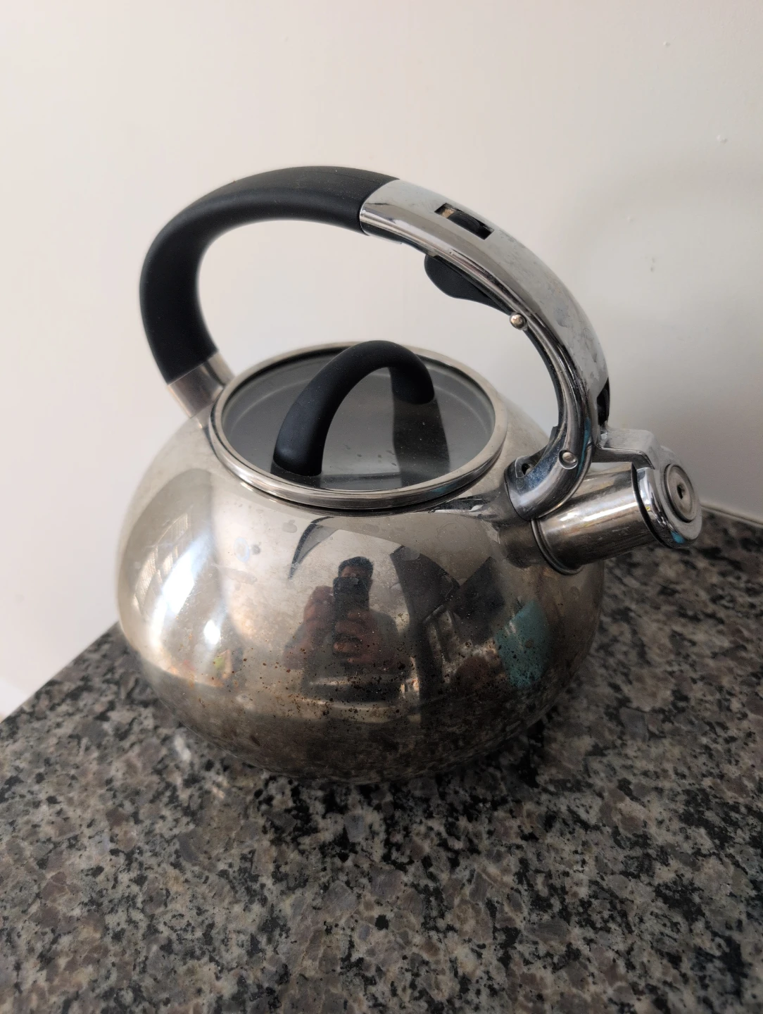 Stainless Steel Stovetop Kettle