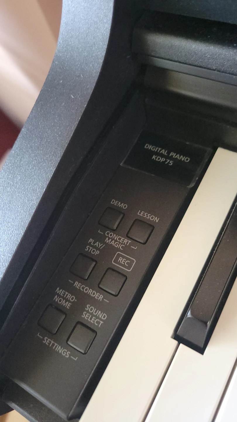 Kawai Digital Piano (kdp75/cx102) - photo 5