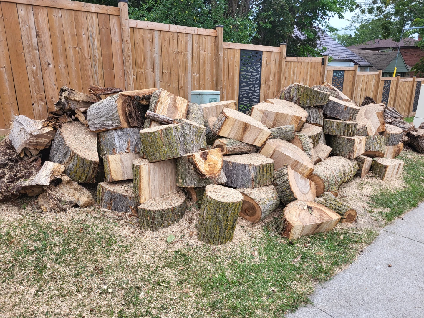 Hardwood firewood almost FREE - photo 2