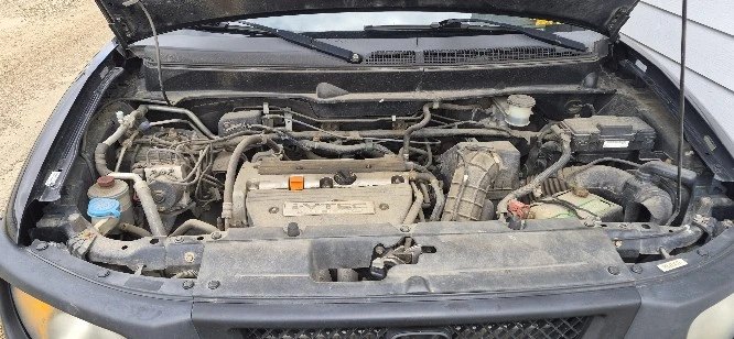 Honda Element 2008 - photo 3