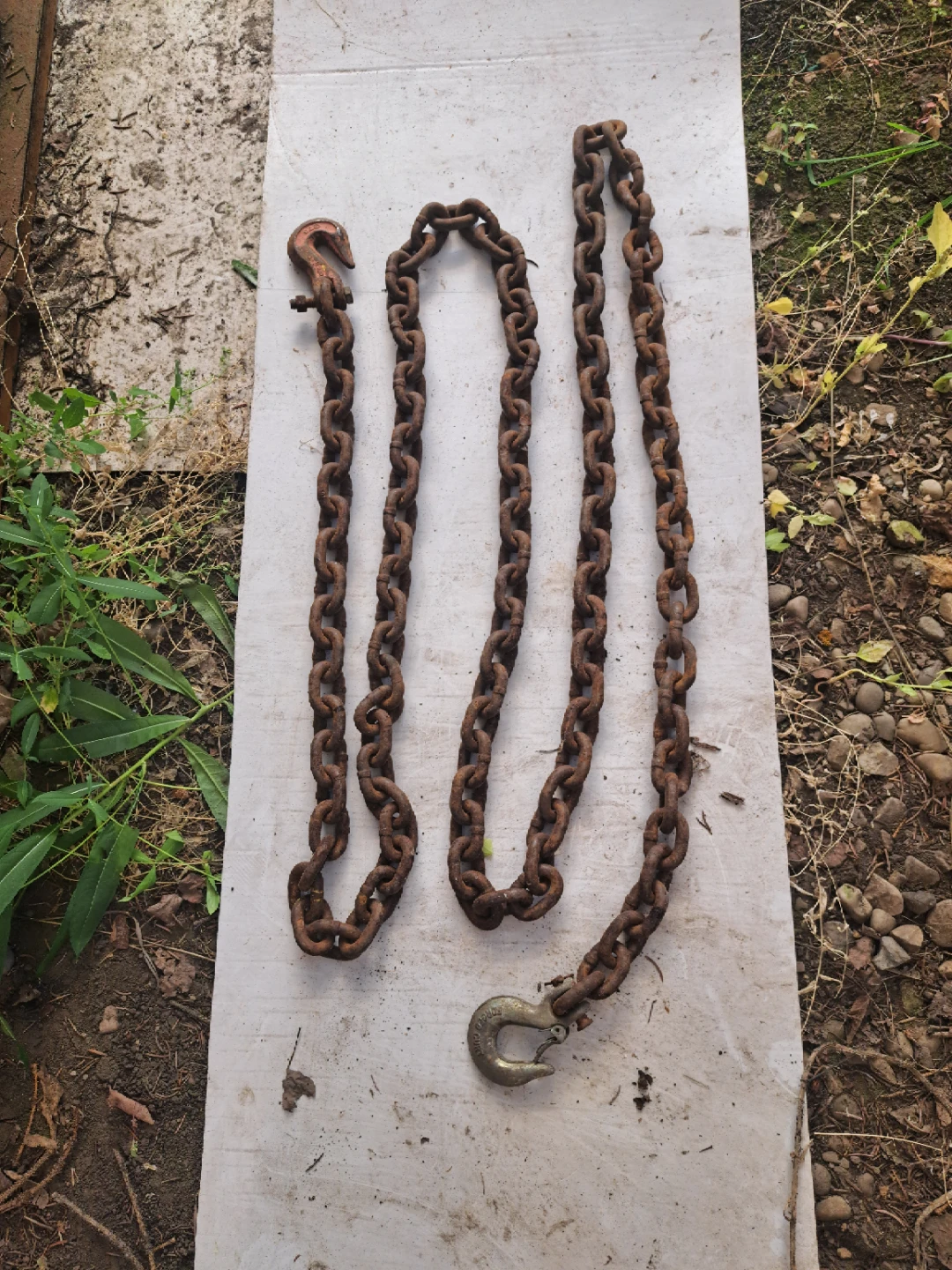 Chains and load binder