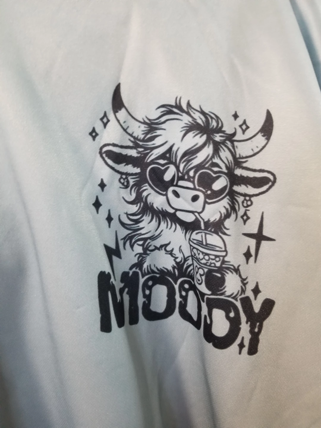 Moody Highland Cow Graphic Hoodie XL - photo 2