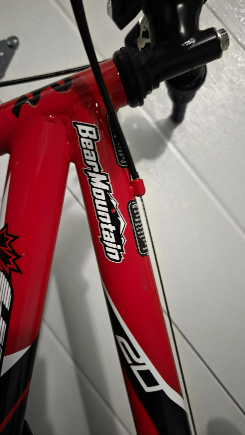Hyper Bear Mountain 20-inch Kids Mountain Bike - photo 2