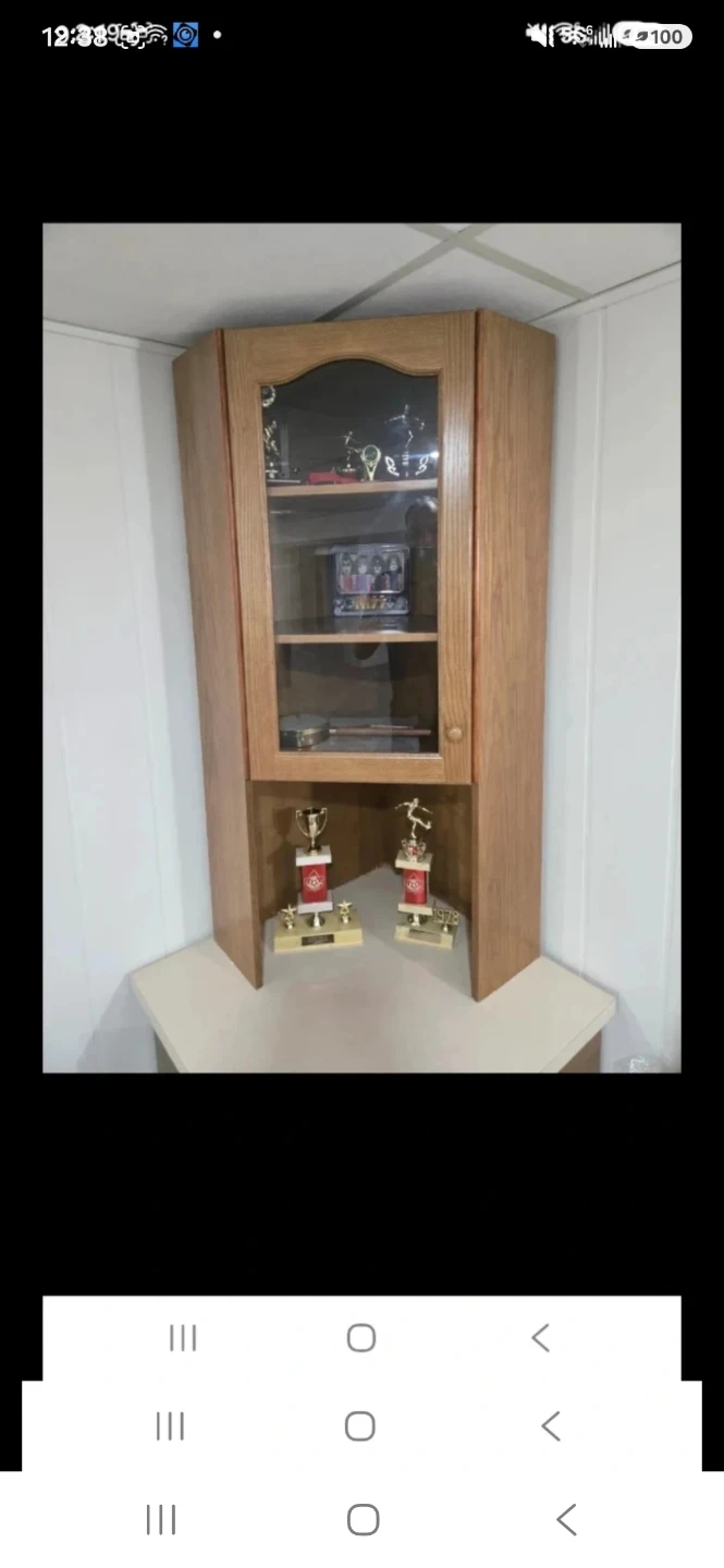 Custom Oak Corner Display Cabinet - photo 3