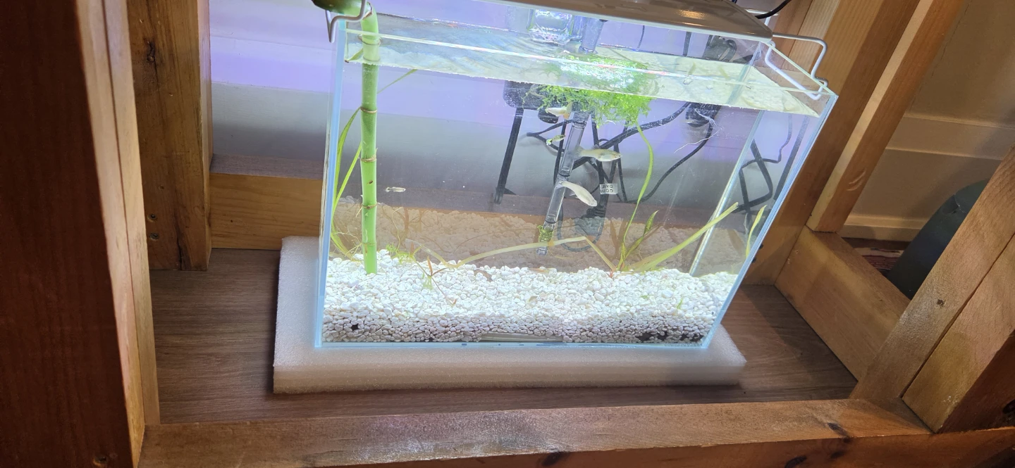 Glass Aquarium with Light and Filter - photo 4