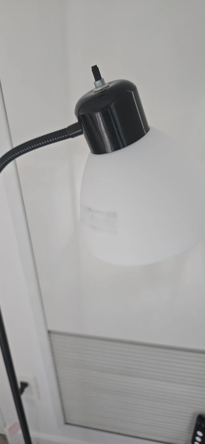 Black Floor Lamp with Adjustable Reading Light
