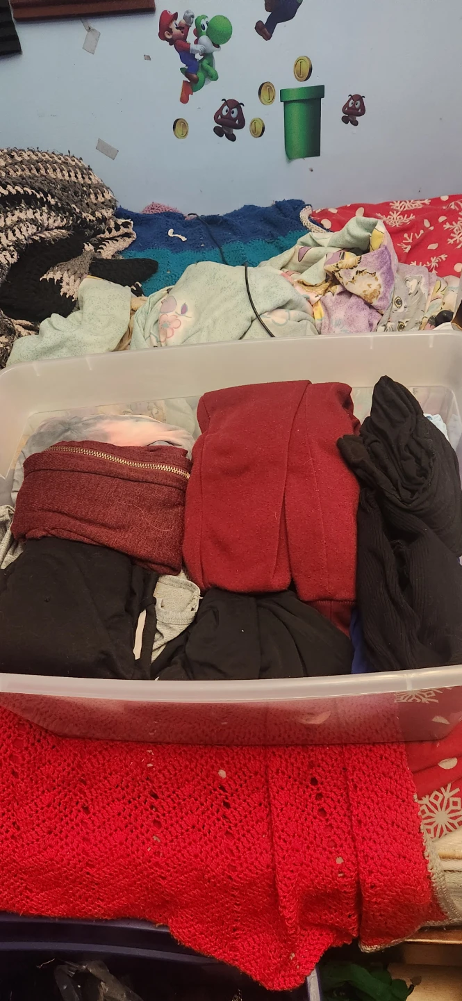 Assorted Fashion Nova and Mixed Clothing Items - photo 4