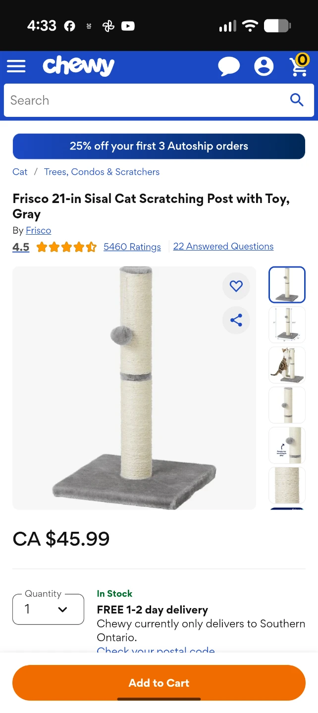 Cat Tree Condo, Scratching Posts, Litter Box, Bowl, Bed Bundle - photo 4