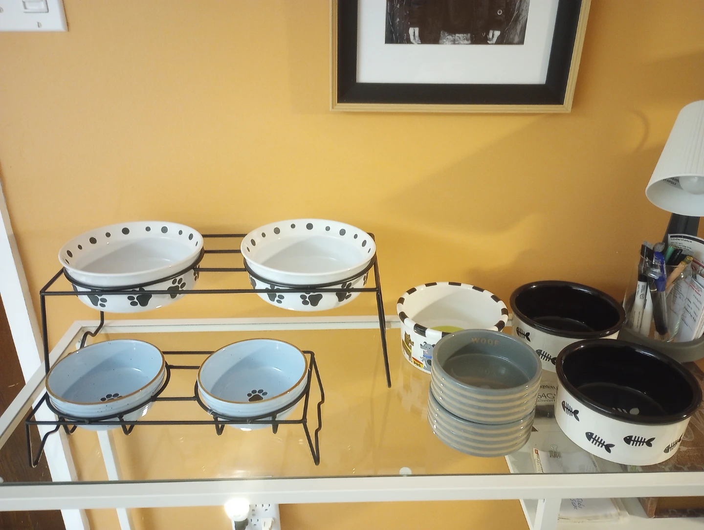 Pet Bowl Extravaganza