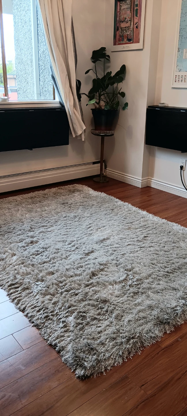 New Glitz Collection Shag Rug
