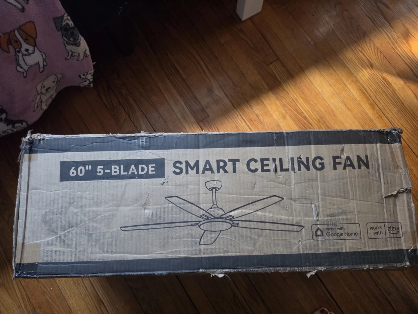 Amico 60" 5-Blade Smart Ceiling Fan 🏈 - photo 2