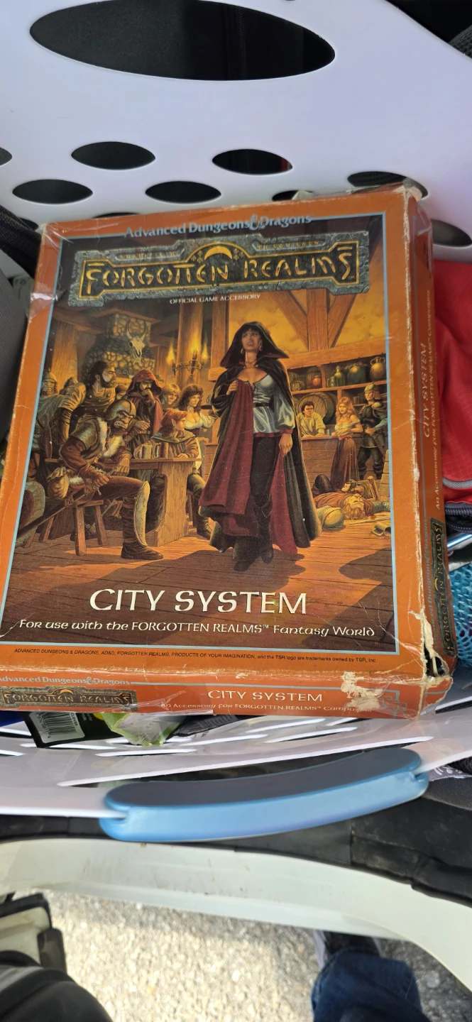 Advanced Dungeons & Dragons Forgotten Realms City System