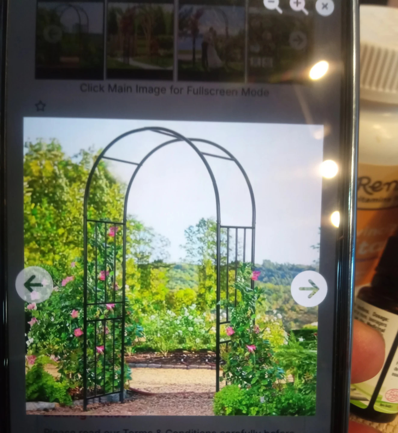Black Metal Garden Arch