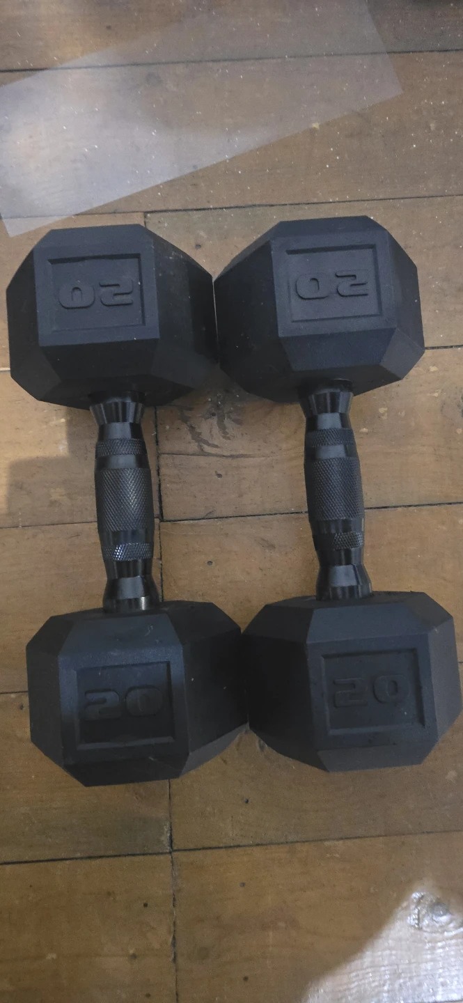 Pair of 20 lb Hex Dumbbells