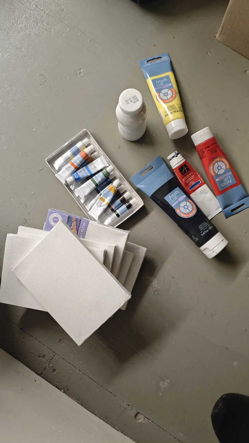 Painting bundle - Artist's Loft Acrylic Paints and Carrying Case