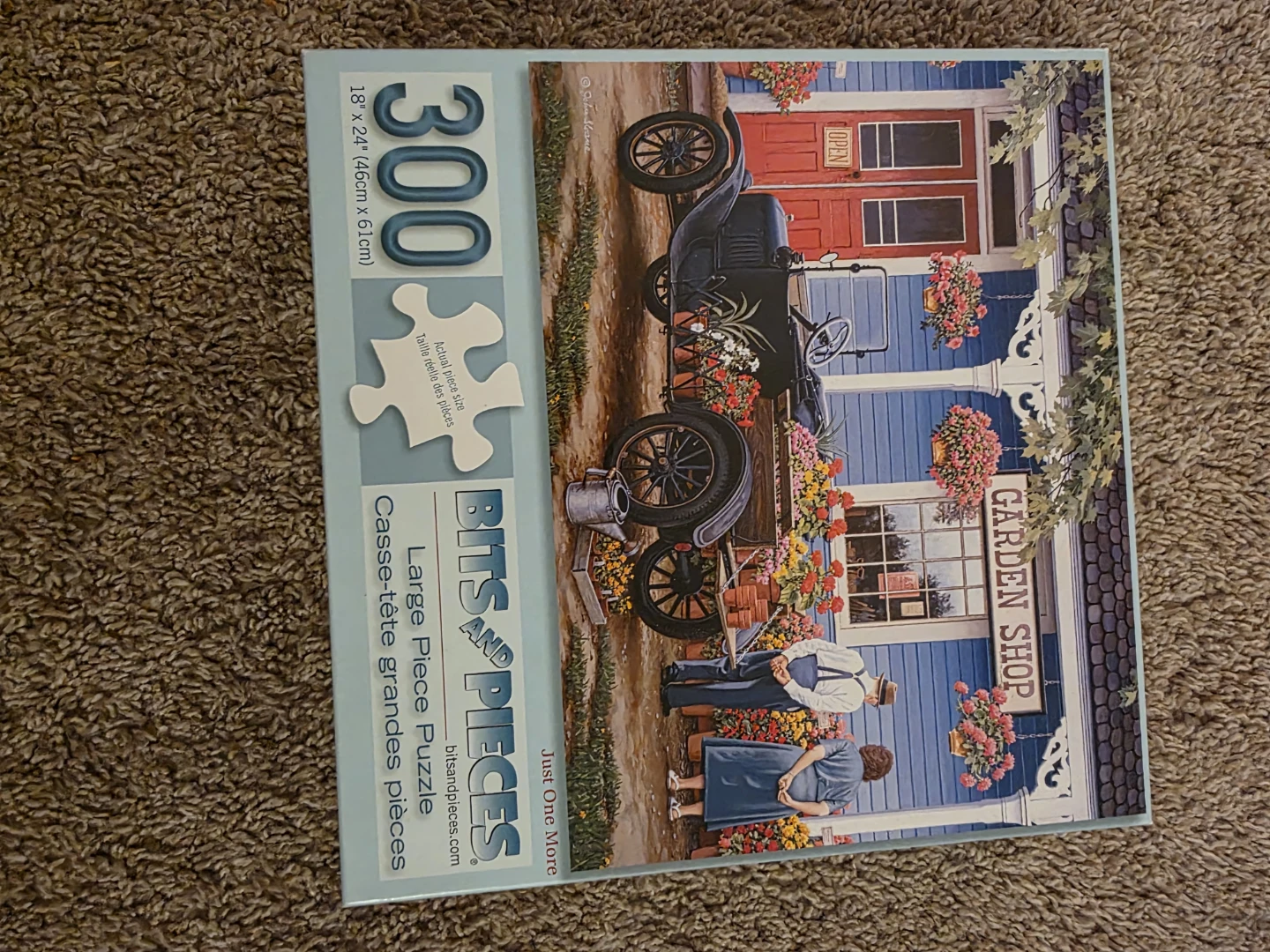 Bits and Pieces 300-Piece Large Piece Jigsaw Puzzle