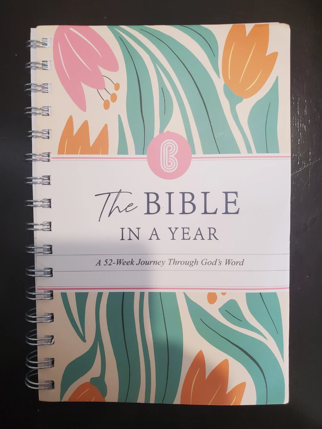 The Bible In A Year...NEW