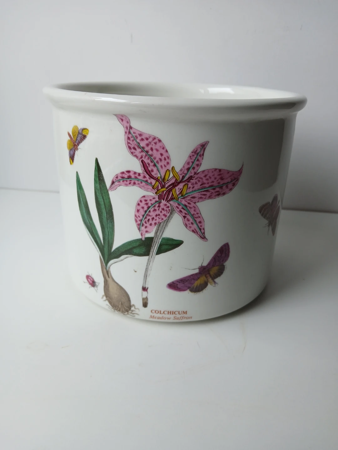 Portmeirion Botanic Garden Colchicum Pot.