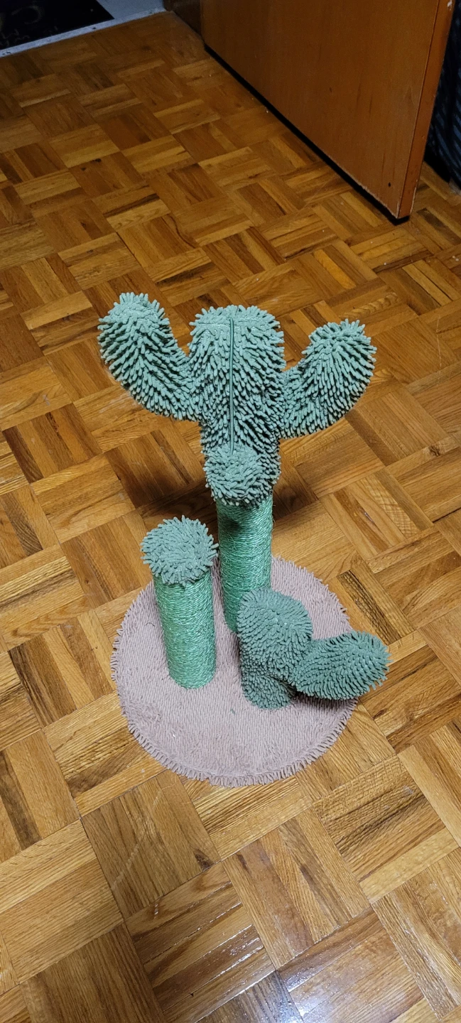 Cactus Cat Scratcher - photo 2
