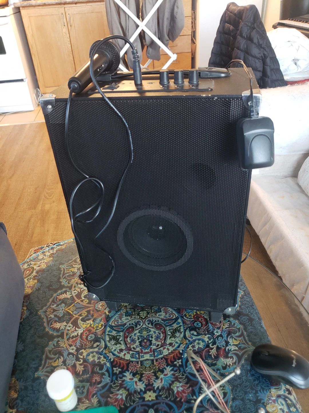 Sylvania Portable PA Speaker with Microphone