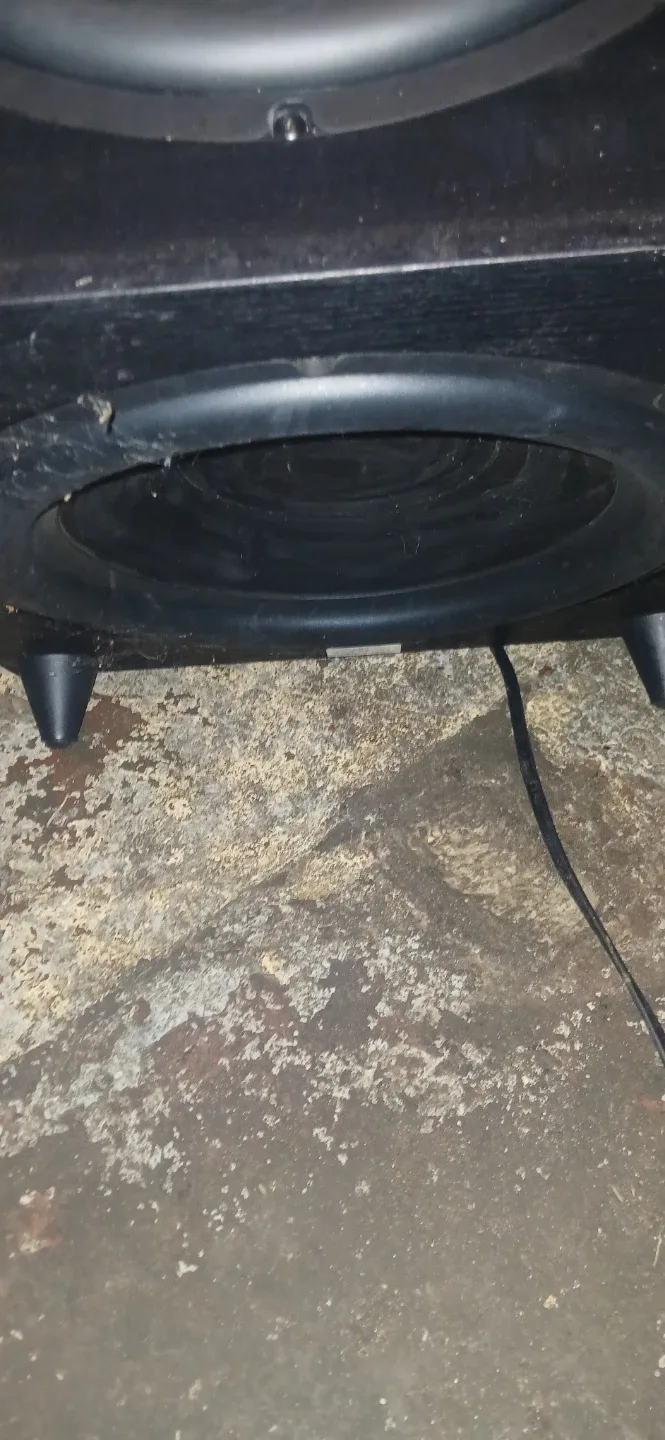 Sunfire SDS12 Dynamic Series Subwoofer - photo 5