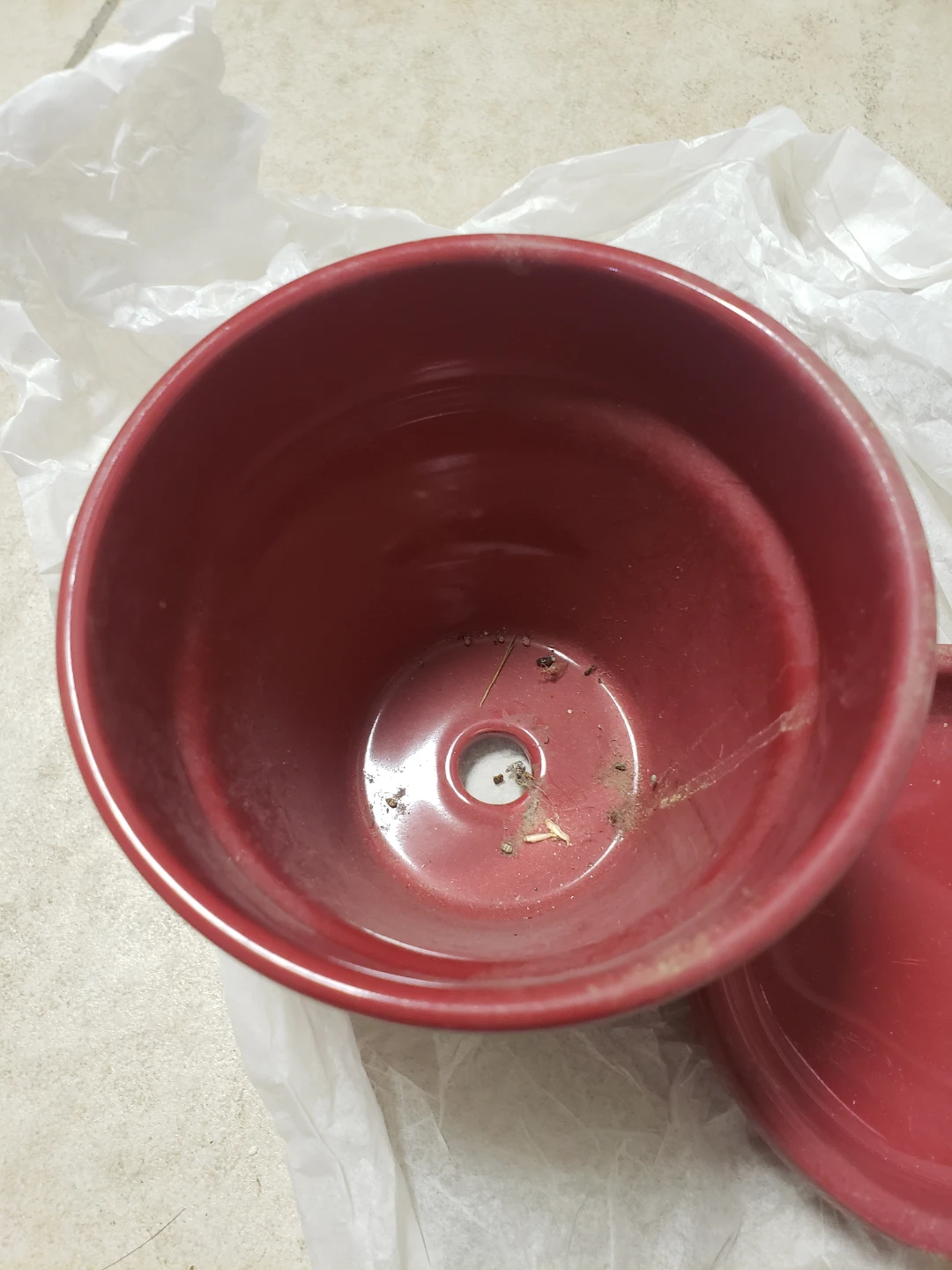 Red Ceramic Plant Pot with Saucer - photo 3