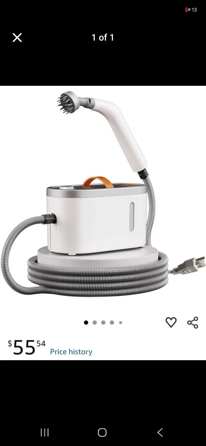 Portable Garment Steamer