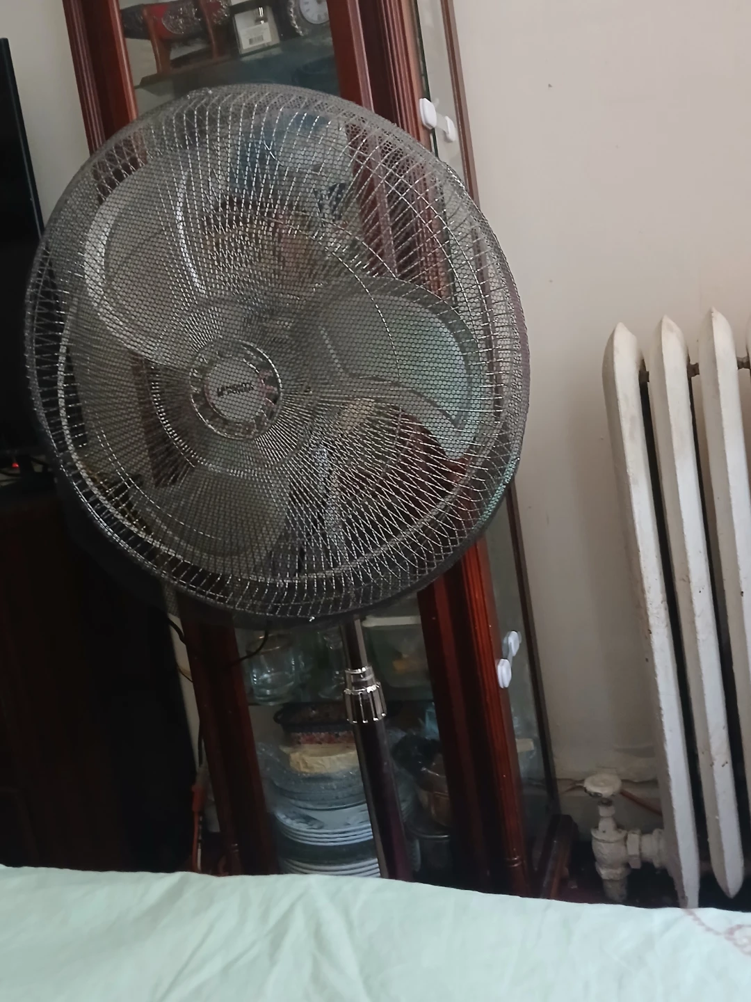 Lasko Pedestal Fan🏈