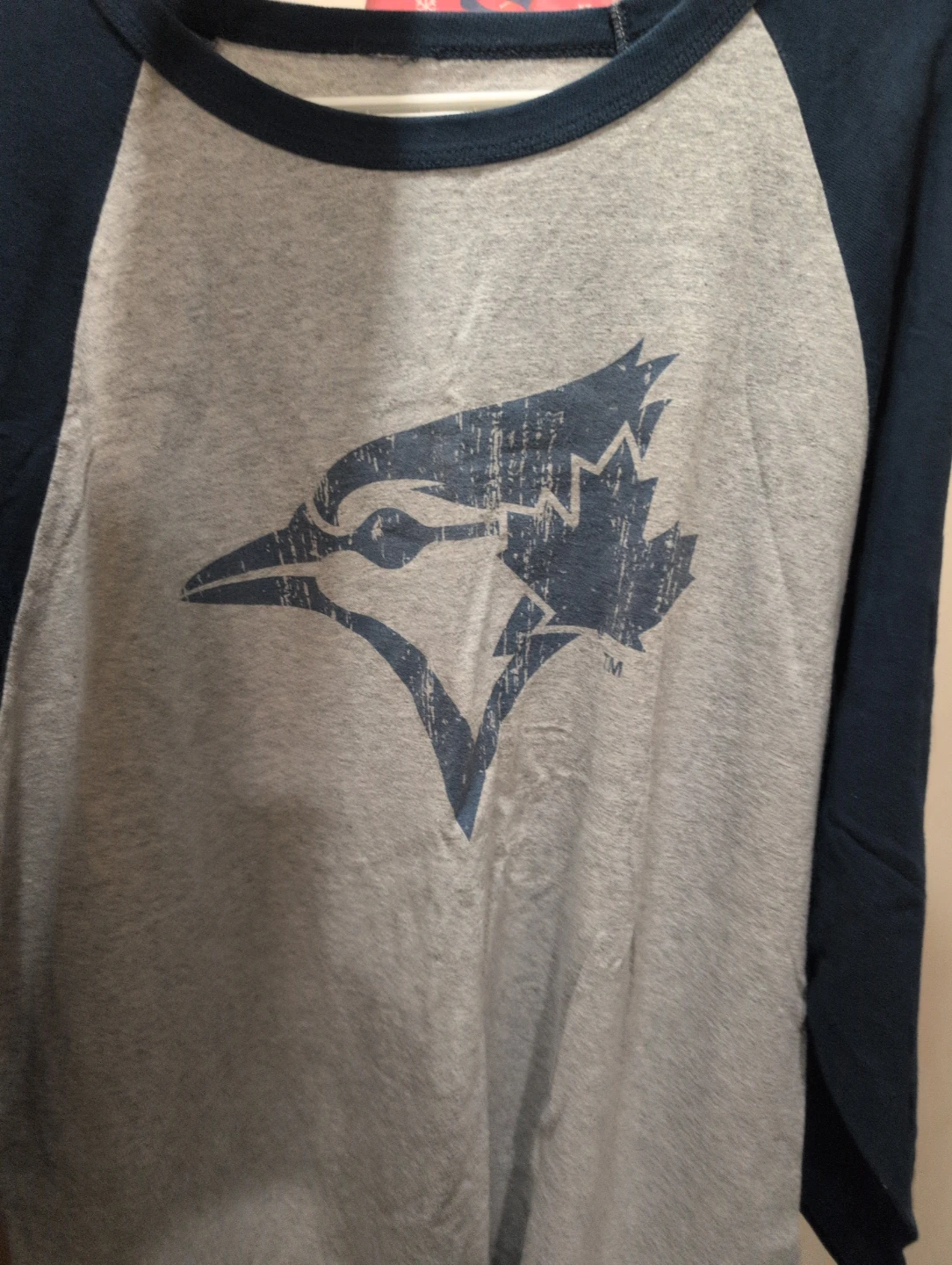 Toronto Blue Jays Raglan Shirt
